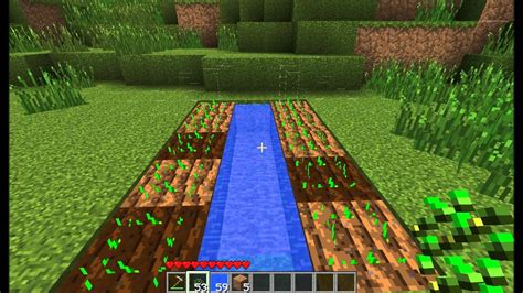 This means that a kelp <strong>plant</strong> can <strong>grow</strong> between 2 and 26 blocks tall. . How to make plants grow faster in minecraft